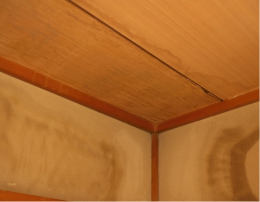 雨漏りによる天井や壁にシミ