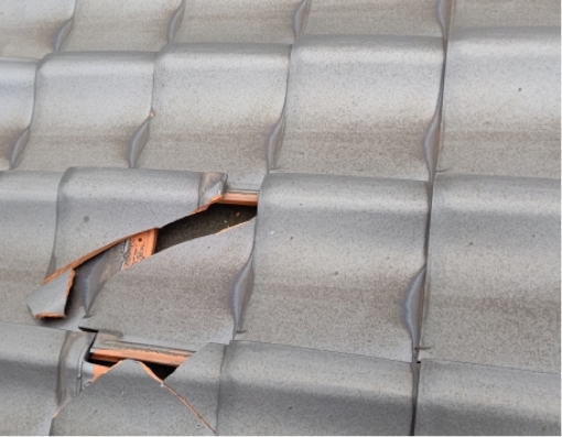 瓦のひび割れ・破損